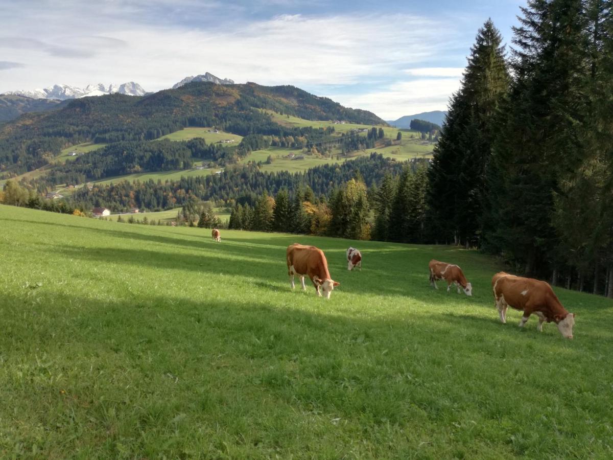 Lammerauhof Abtenau Exterior foto